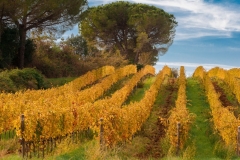 Campagna Toscana