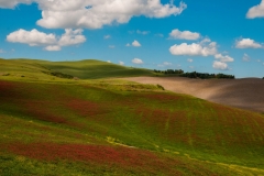 Maggio Toscano