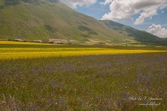 Castelluccio